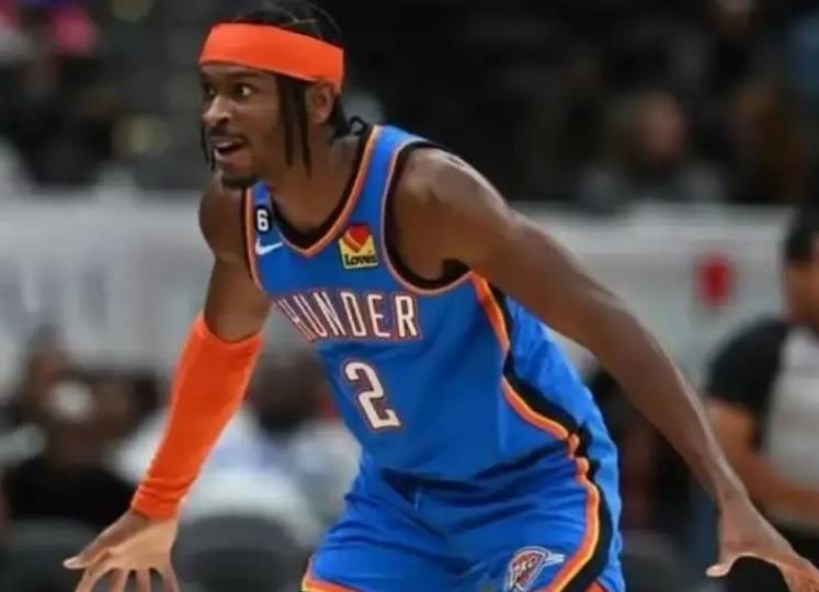 多样性提供 多样性提供