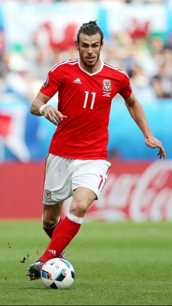 年世界羽毛 年世界羽毛