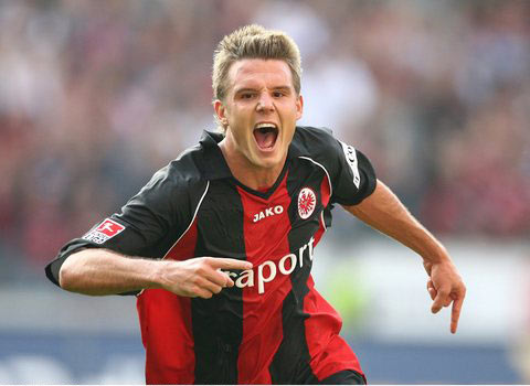 也验证了这 也验证了这