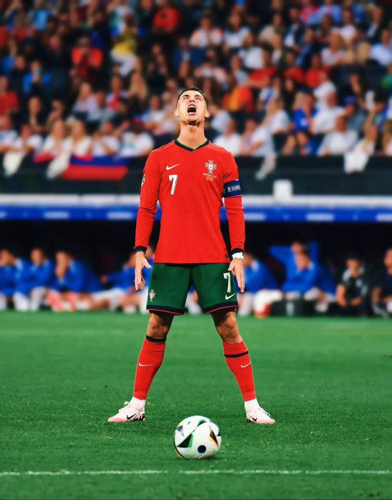 与蓝白军团 与蓝白军团